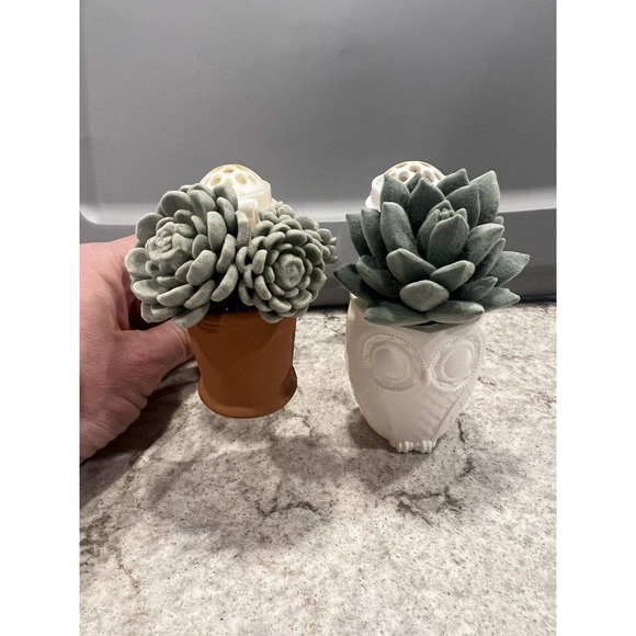 2 Bath & Body Works TERRACOTTA SUCCULENT & Owl Succulent Wallflowers